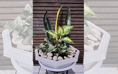 Pot Harmoni: Metafora Keberagaman dalam Literasi Keagamaan Lintas Budaya